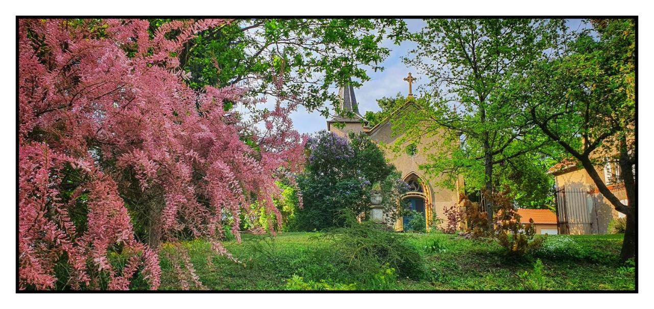 Chateau De Logne Ay-sur-Moselle Esterno foto