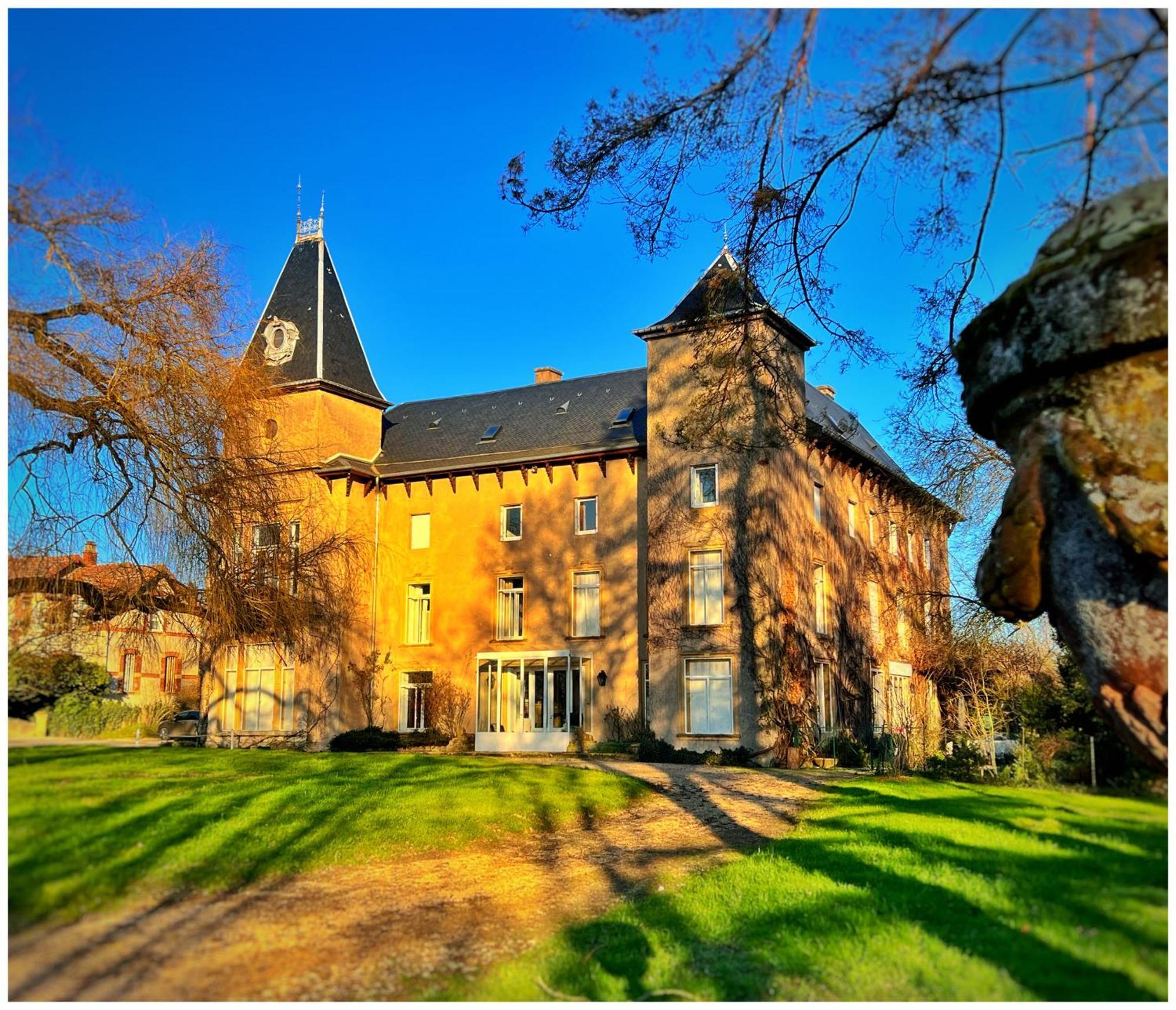 Chateau De Logne Au Coeur De La Moselle Ay-sur-Moselle Esterno foto
