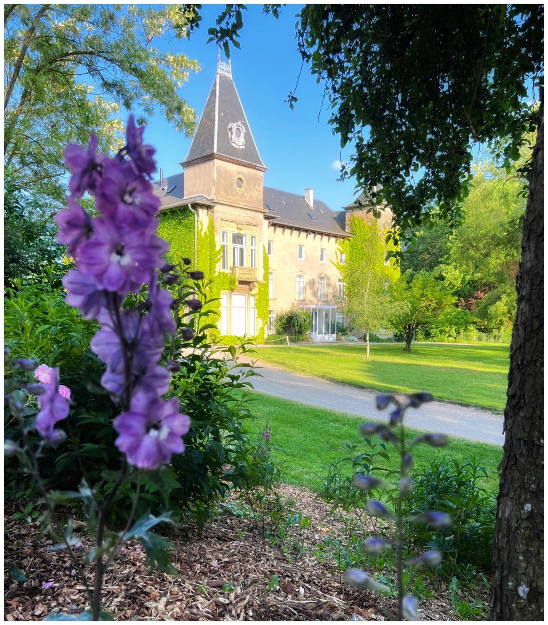 Chateau De Logne Ay-sur-Moselle Esterno foto